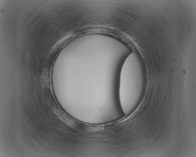 X0000085251403200703090936