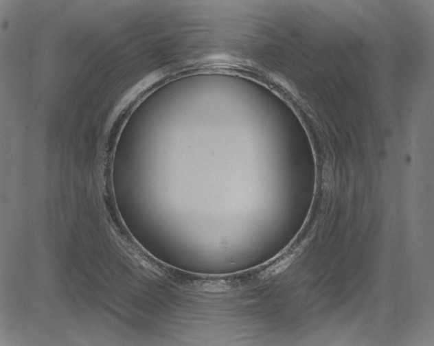 X0000085251410200703090936