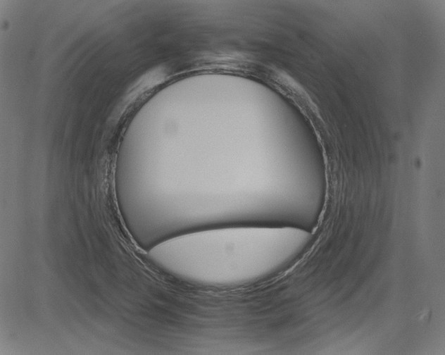 X0000085251411200703090936
