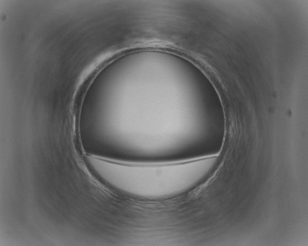 X0000085251414200703090936