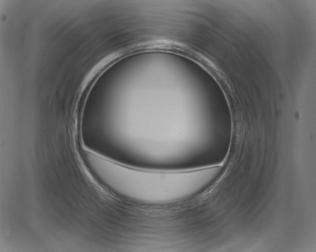 X0000085251418200703090936