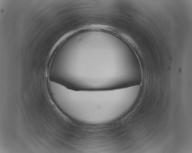 X0000085251420200703090936