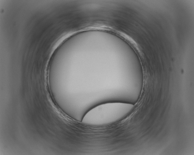 X0000085251423200703090936