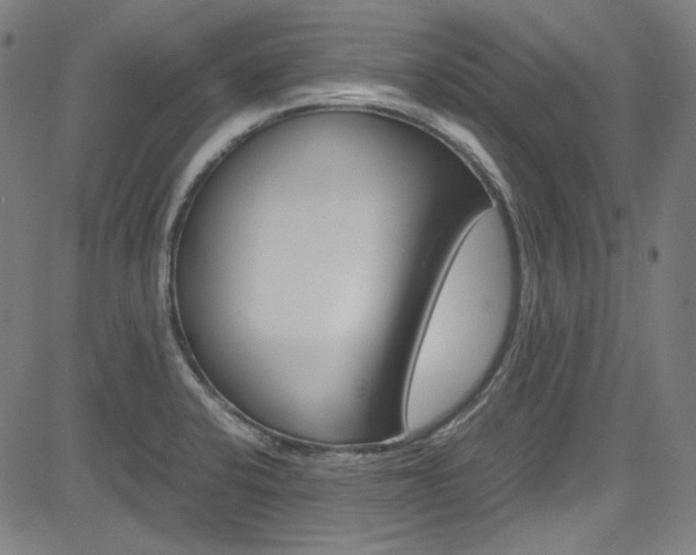 X0000085251424200703090936