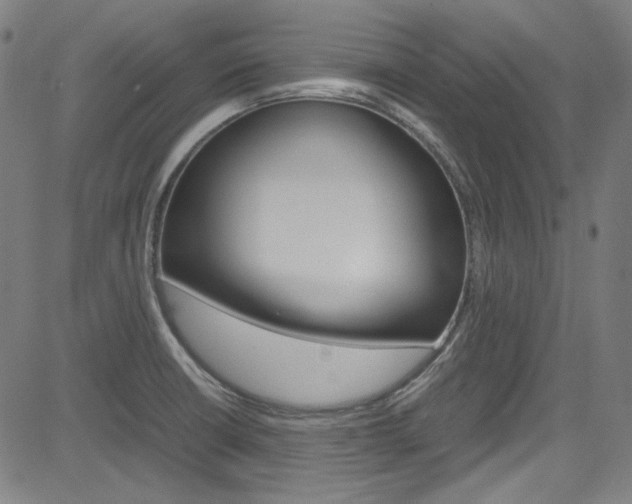 X0000085251426200703090936