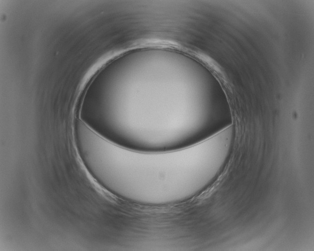 X0000085251430200703090936