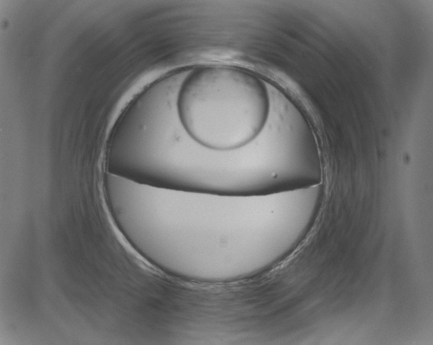 X0000085251432200703090936