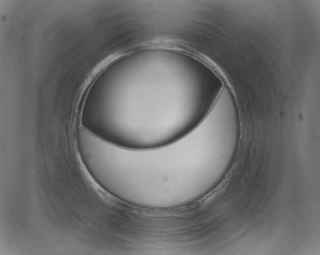X0000085251434200703090936