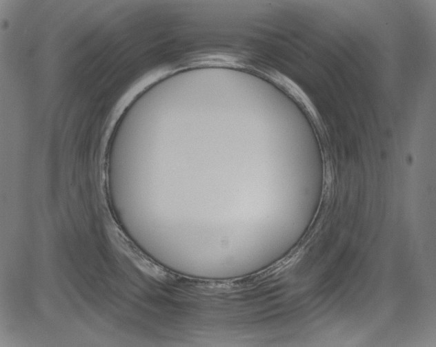 X0000085251435200703090936