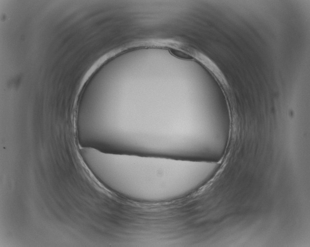 X0000085251436200703090936