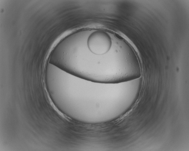X0000085251437200703090936