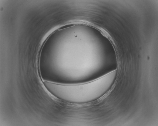 X0000085251438200703090936