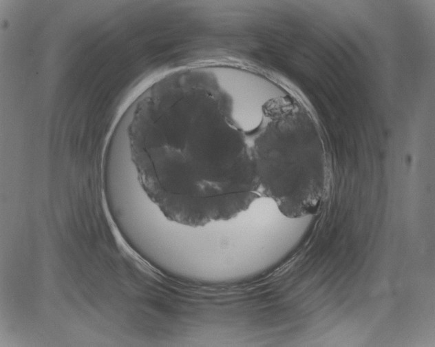 X0000085251439200703090936