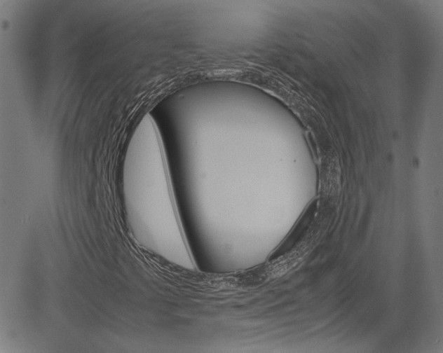 X0000085251441200703090935