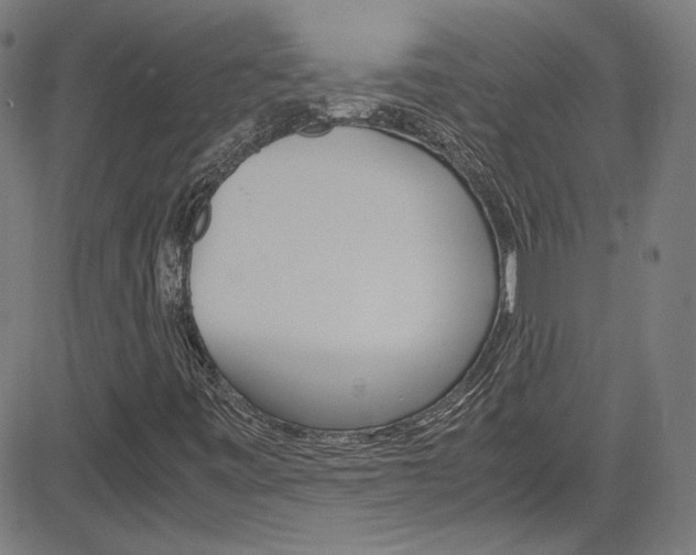 X0000085251443200703090935