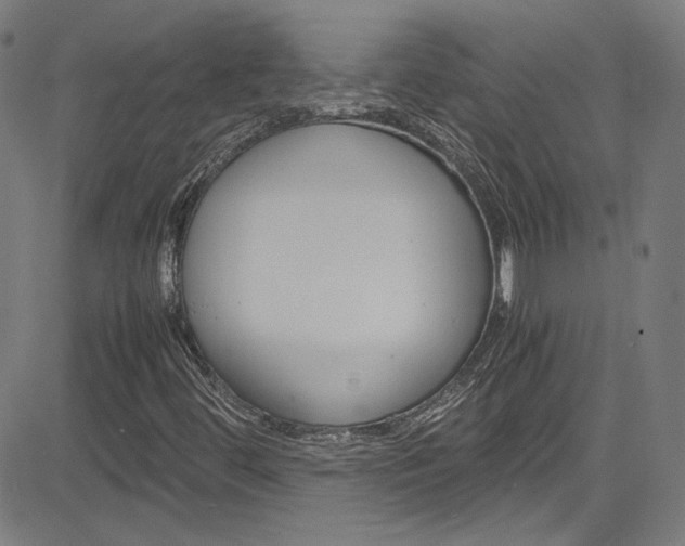 X0000085251444200703090935