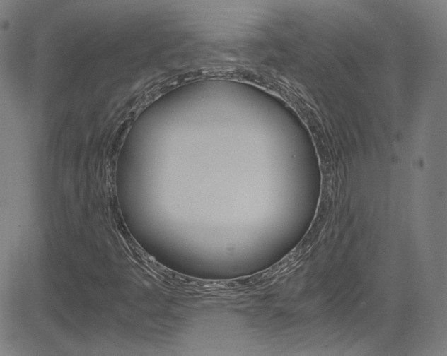 X0000085251445200703090935