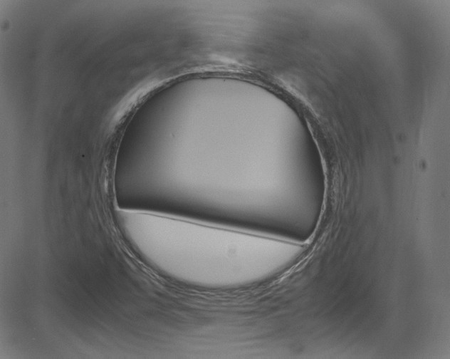 X0000085251455200703090935