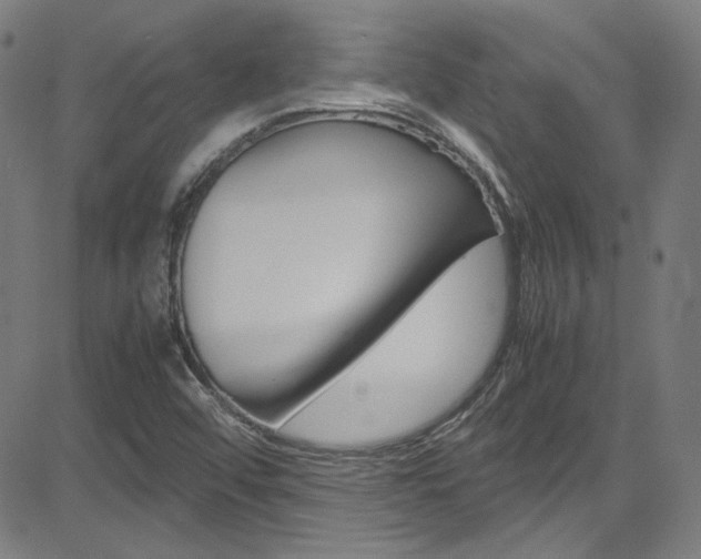 X0000085251456200703090935