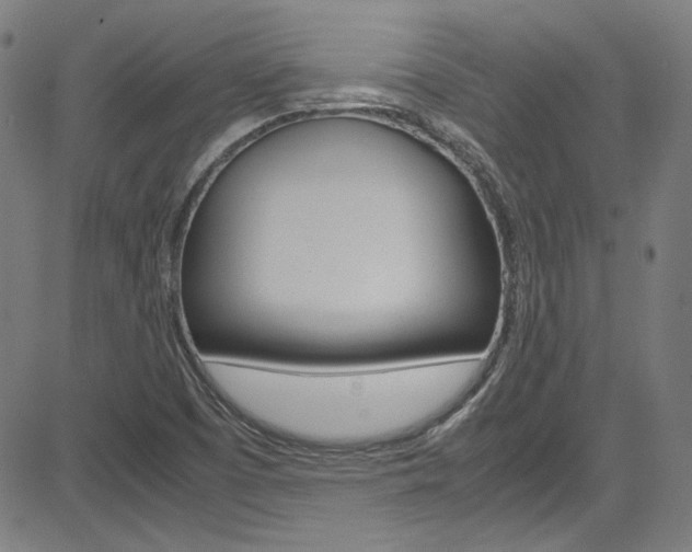 X0000085251457200703090935