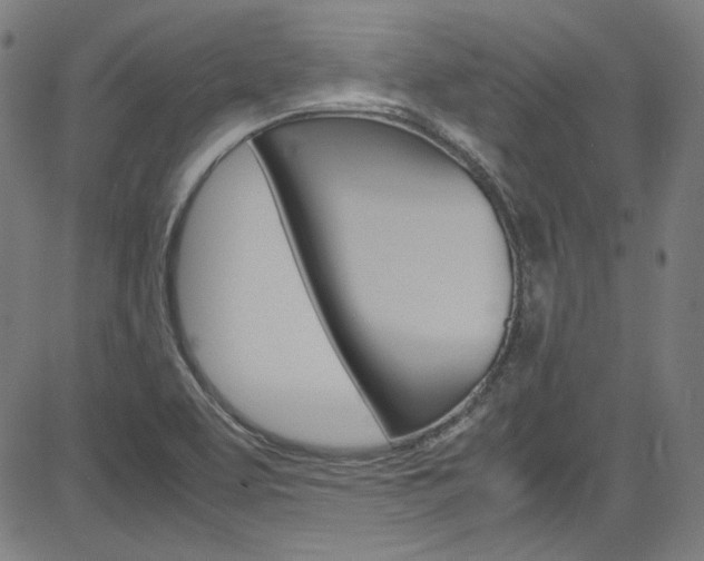 X0000085251463200703090935