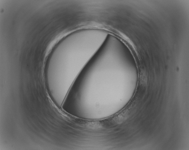 X0000085251464200703090935