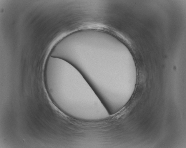 X0000085251471200703090935