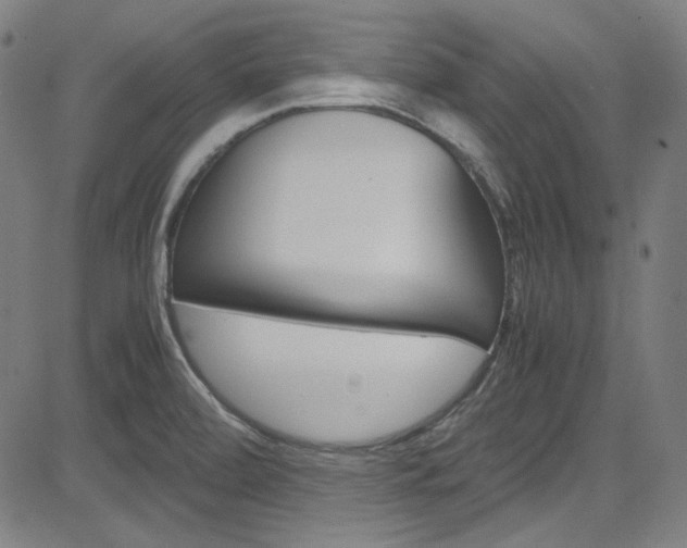 X0000085251472200703090935