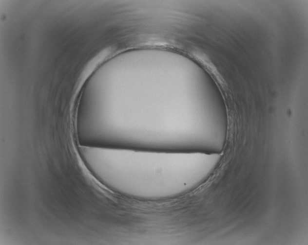 X0000085251475200703090935