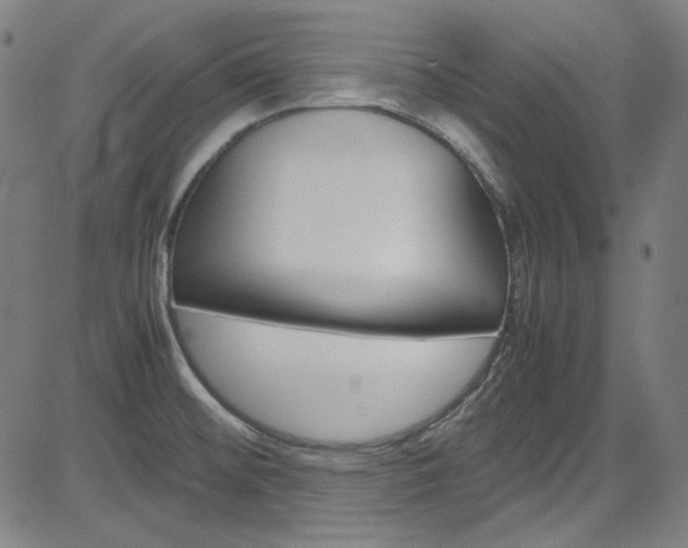 X0000085251476200703090935