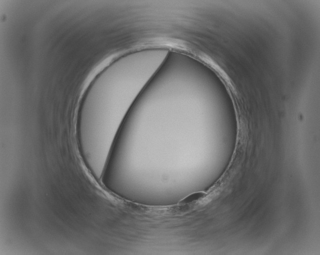 X0000085251477200703090935