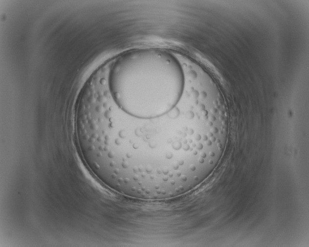 X0000085251479200703090935