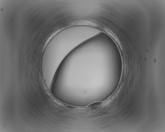 X0000085251481200703090935