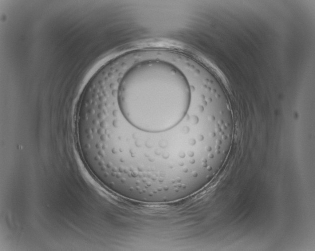 X0000085251483200703090935