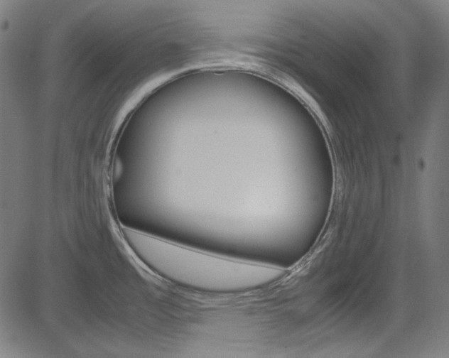 X0000085251485200703090935
