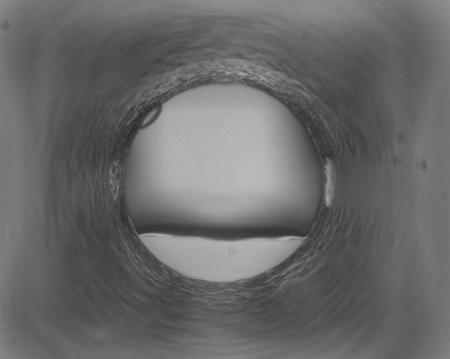 X0000085251491200703090934