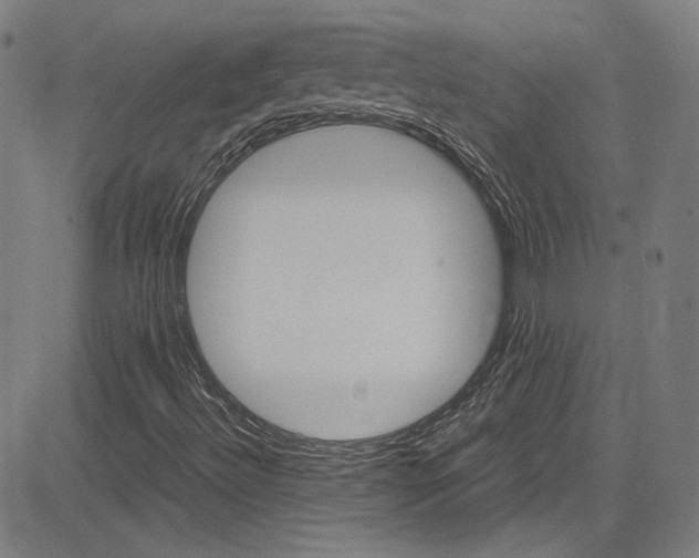 X0000085251492200703090934