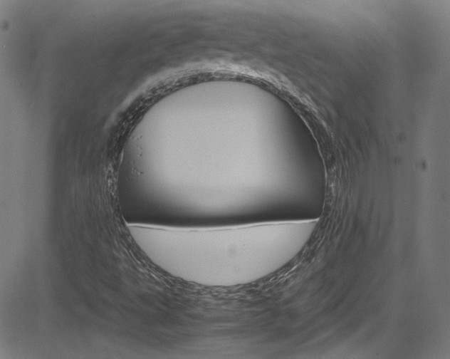 X0000085251495200703090934