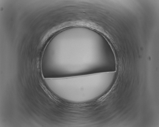 X0000085251499200703090934