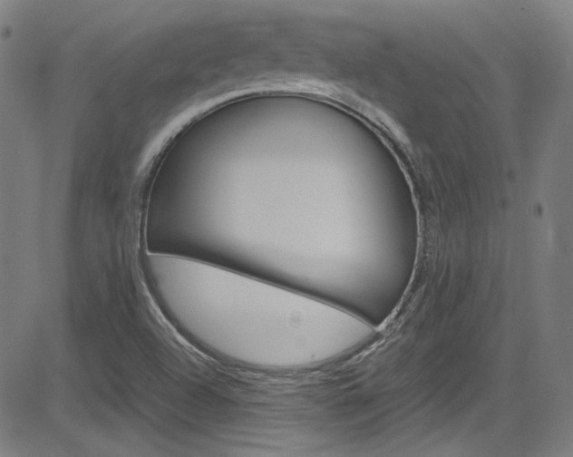 X0000085251504200703090934