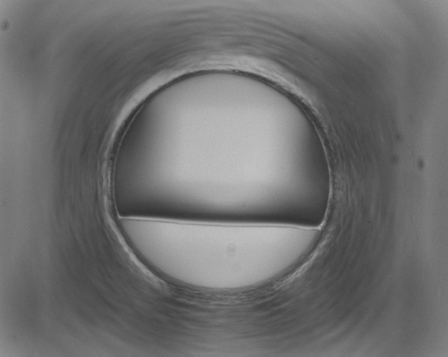 X0000085251517200703090934