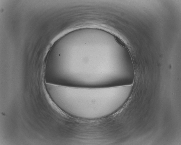 X0000085251526200703090934