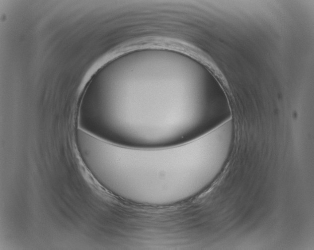 X0000085251530200703090935