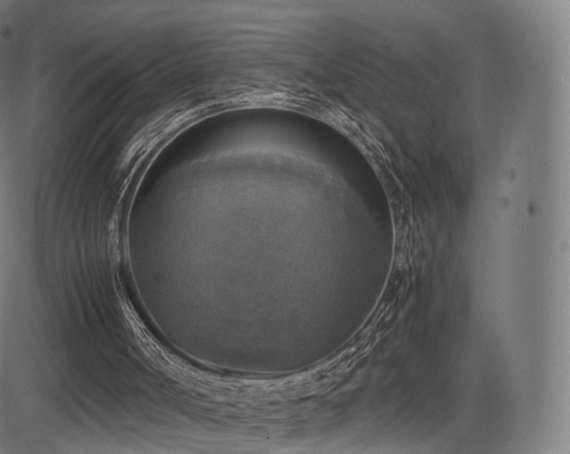 X0000085250002200703091310