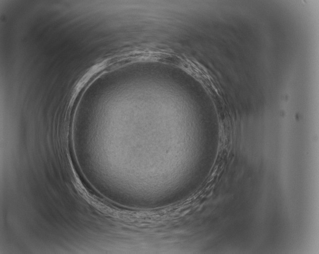 X0000085250003200703091310