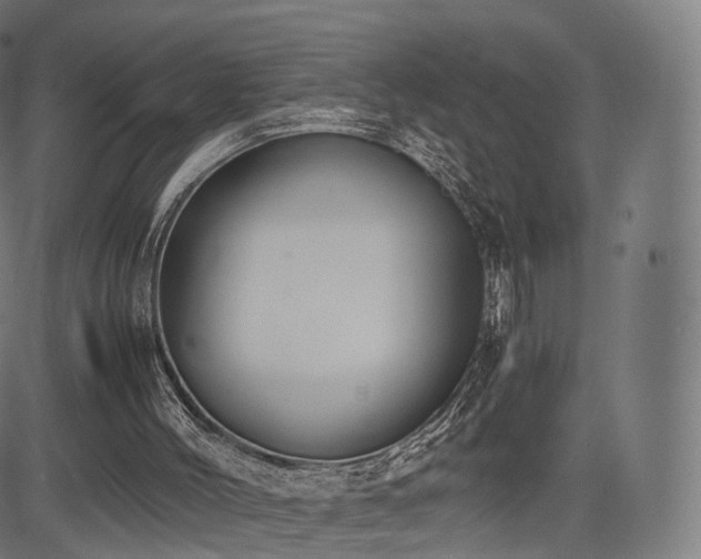 X0000085250004200703091310