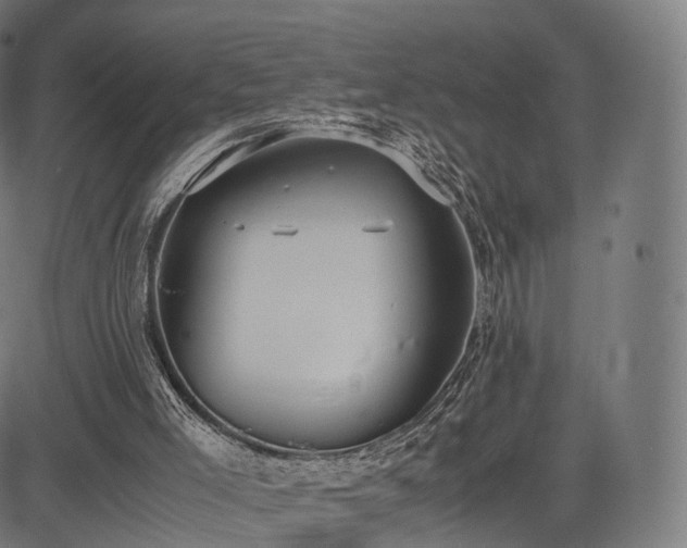 X0000085250005200703091310