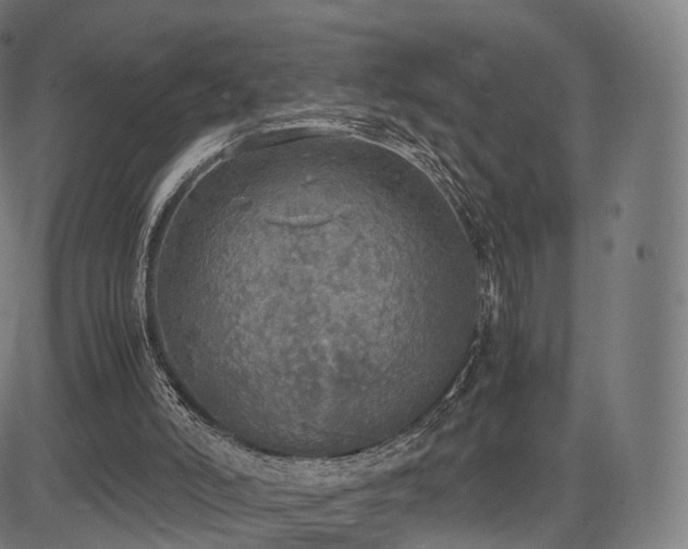 X0000085250006200703091310