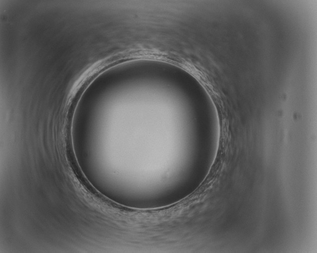 X0000085250007200703091310