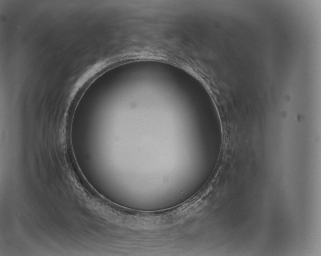 X0000085250008200703091310